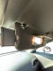 2017 Dodge Challenger T/A